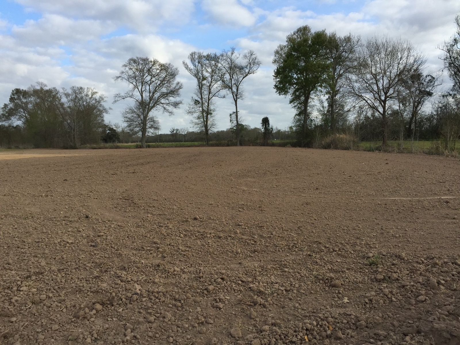 Vermilion Parish · 1-Acre Homesite, photo 14