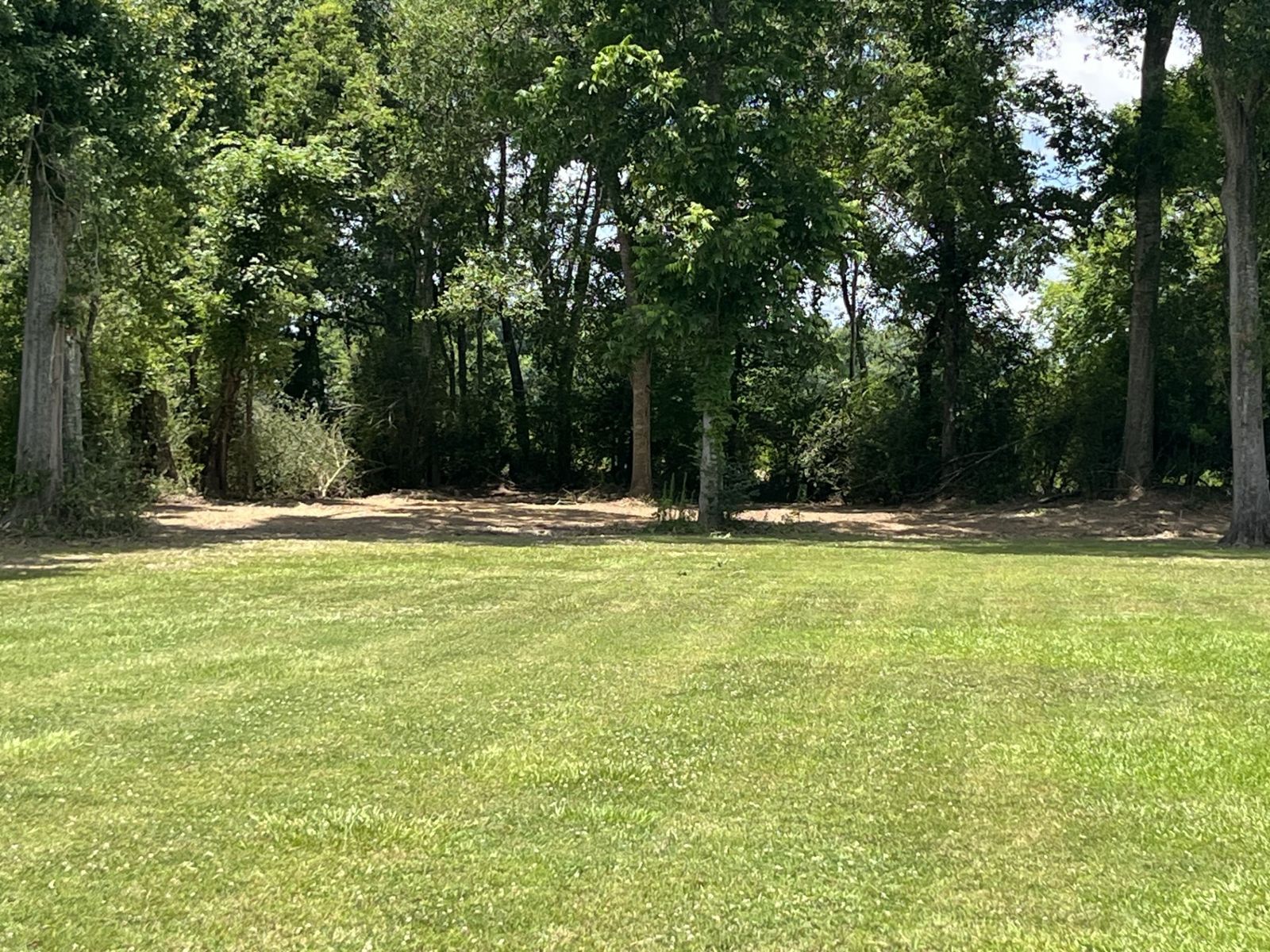 Youngsville · Half-Acre Reclaimed, photo 4