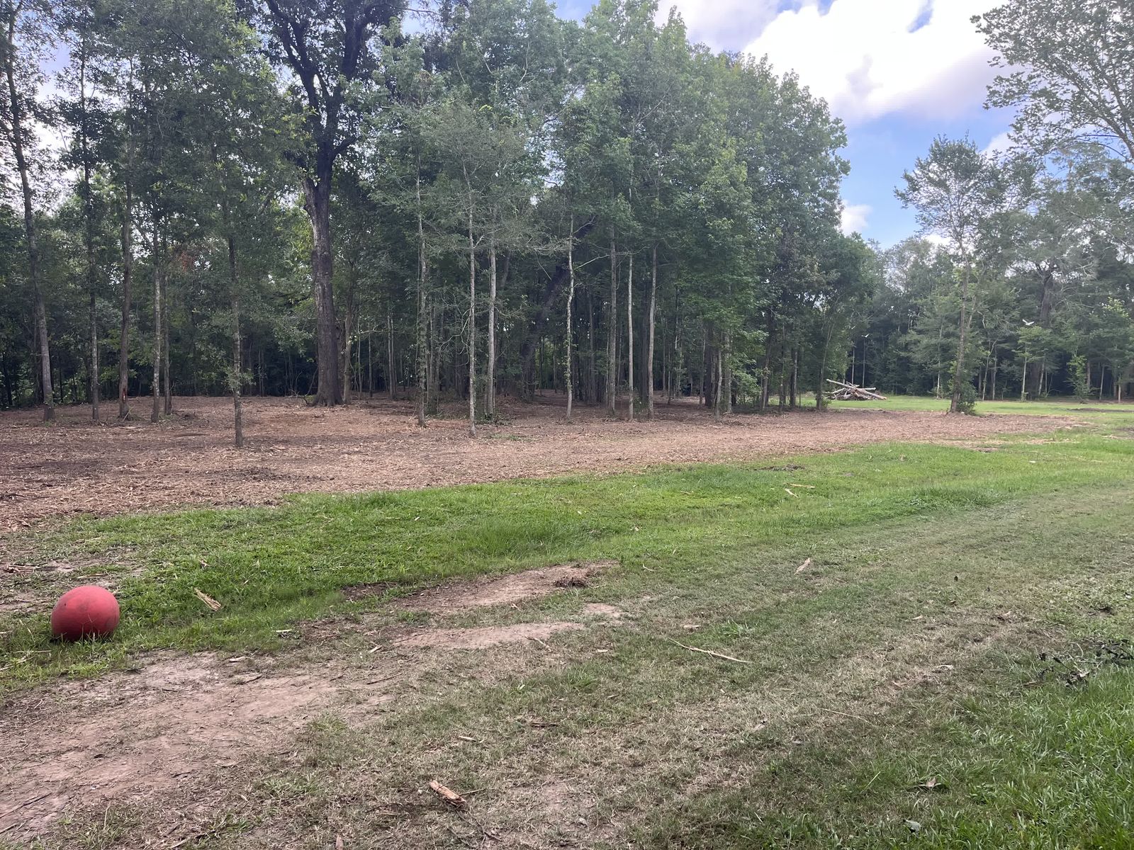 Vermilion River · 5 Acres Reclaimed, photo 2