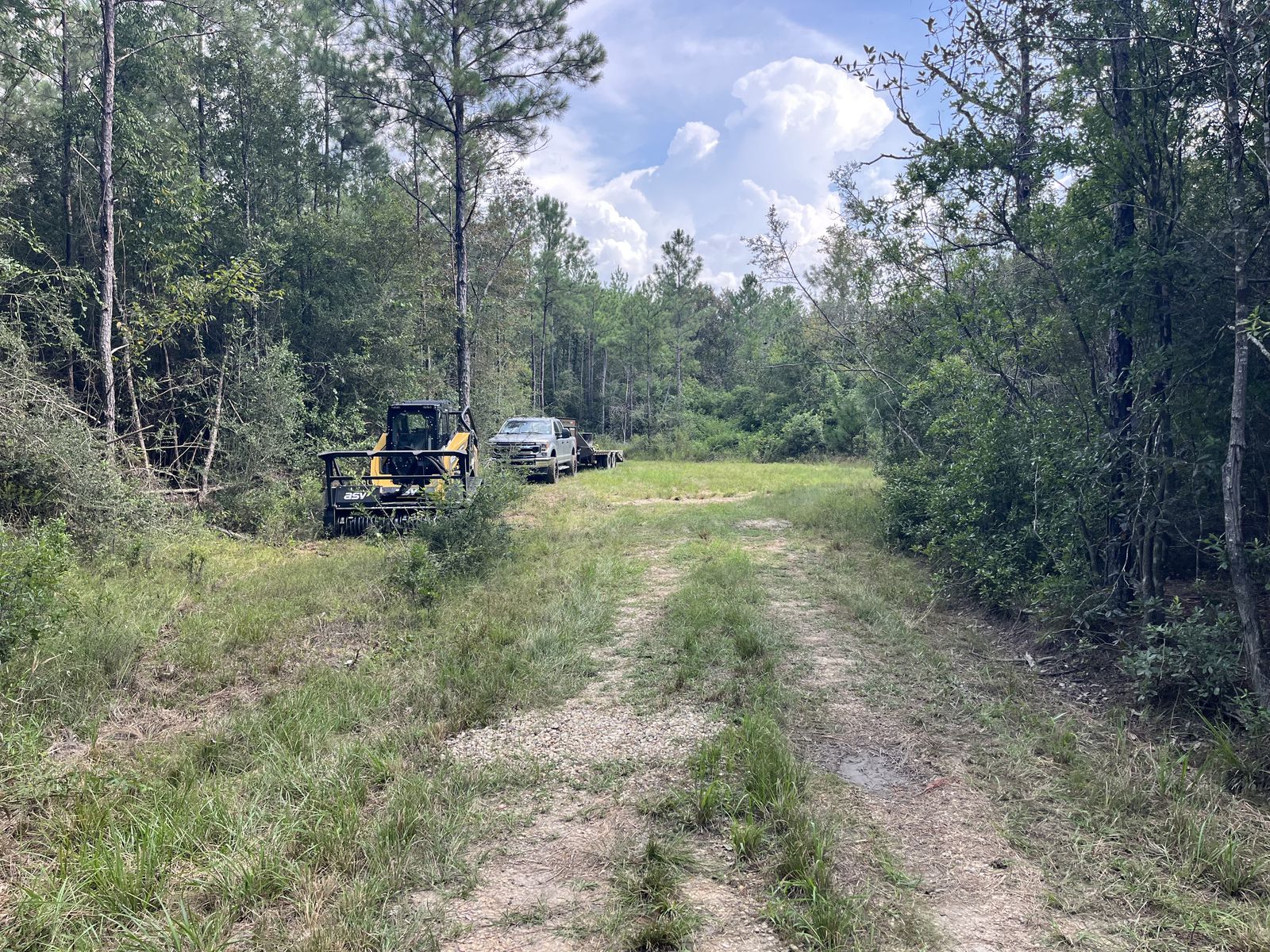 Wolf River · 20 Acres Reopened, before: low-lying ground being excavated
