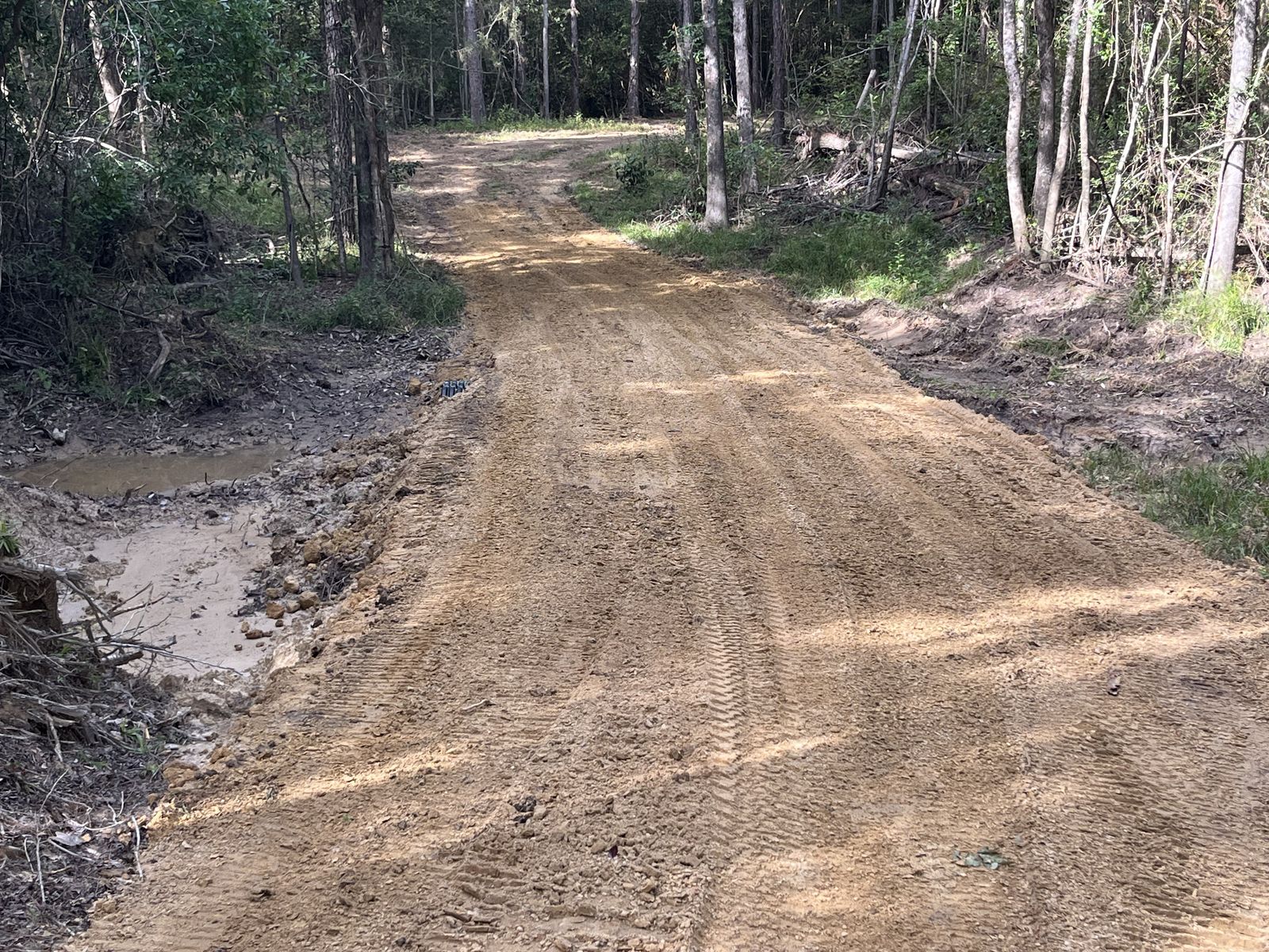 Wolf River · 20 Acres Reopened, photo 3