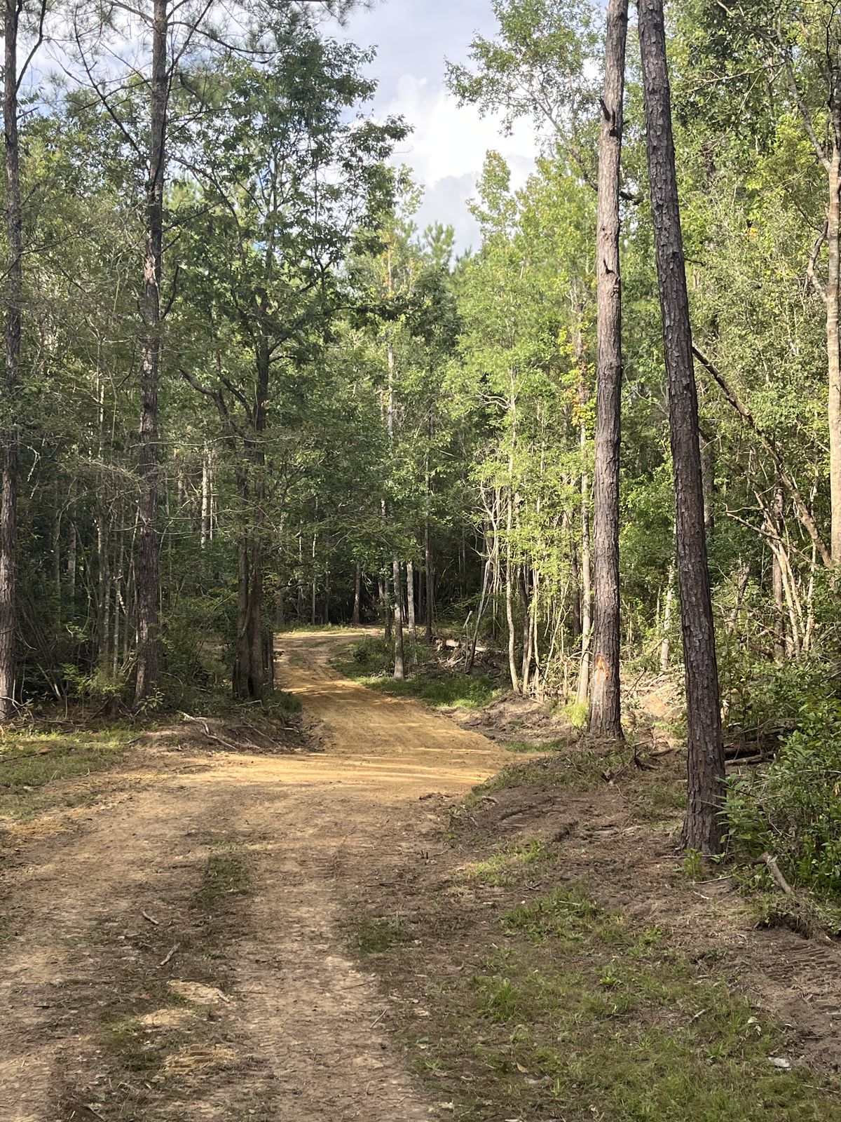 Wolf River · 20 Acres Reopened, photo 5
