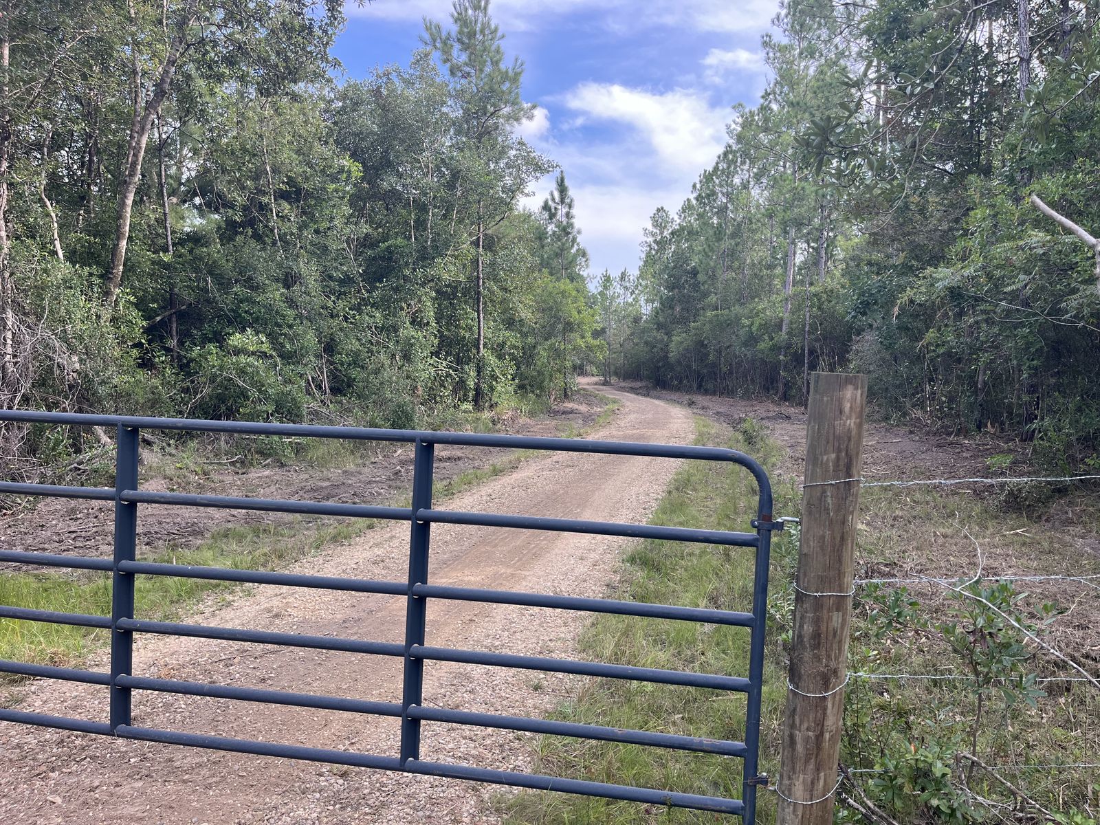Wolf River · 20 Acres Reopened, photo 6